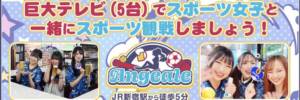 Angeale