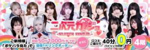 Akihabara Nijigen Kanojo
